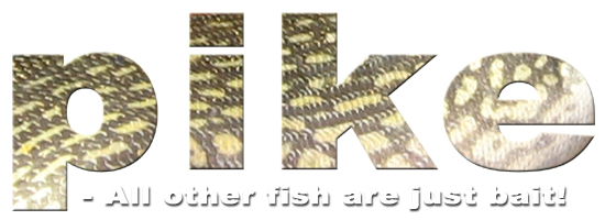 pike-all_other_fish